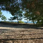 Spacieuse Avec Terrasse En Bord De Et Animaux Acceptes - Fr-1-22-249