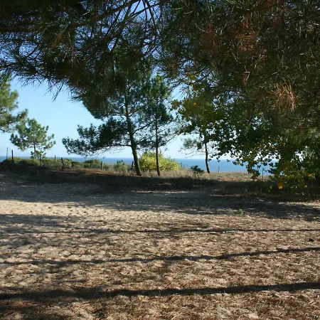 Spacieuse Avec Terrasse En Bord De Et Animaux Acceptés - Fr-1-22-249