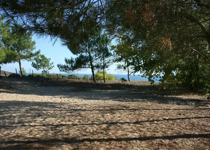 Spacieuse Avec Terrasse En Bord De Et Animaux Acceptes - Fr-1-22-249