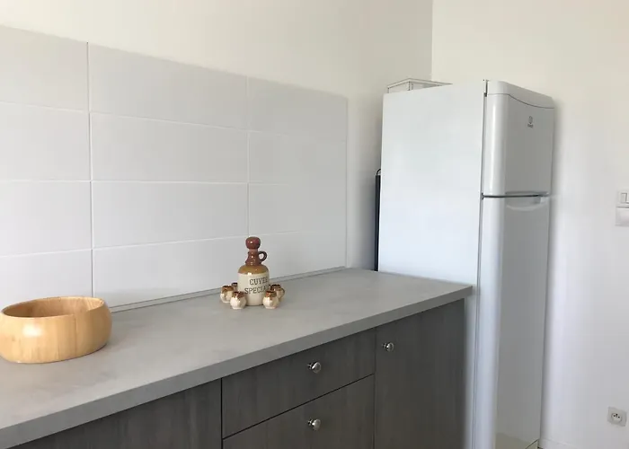 Spacieuse Avec Terrasse En Bord De Et Animaux Acceptes - Fr-1-22-249 Holiday home